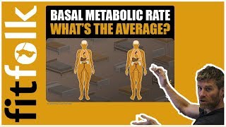 Basal Metabolic Rate Whats the Average BMR [upl. by Bret873]