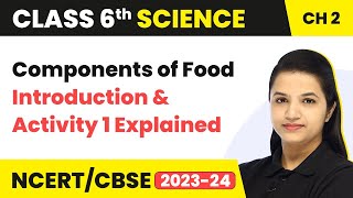 Class 6 Science Chapter 2  Components of Food  Introduction and Activity 1 Explained [upl. by Wolsniw740]