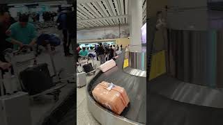 How to find your baggage claim In Airport [upl. by Eilesor320]