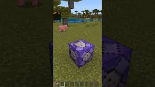 Ticking Area How to Make an Endless Command Block [upl. by Aurlie639]