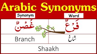 25 Synonyms in Arabic English and Urdu  Arabic Synonyms  Synonyms in Arabic [upl. by Andra]