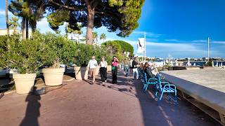 Cannes Walking Tour 8 October ProvenceAlpesCôte dAzur France 4K 60fps [upl. by Fesoy]