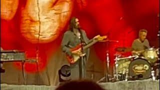 “Too Sweet” by Hozier Live at Marlay Park [upl. by Dolora200]