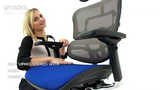 Ergohuman Elite office chair by Grospol – function description [upl. by Yelhs]