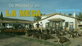 quotMONTERÍA EN LA MECA CON MONTERÍAS RIQUELMEquot en Abenójar  Ciudad Real  el 29 de Octubre del 2022 [upl. by Sina]