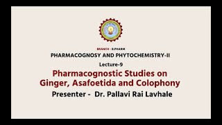 Pharmacognosy and PhytochemistryII  Pharmacognostic Studies on Ginger Asafoetida and Colophony [upl. by Celina318]