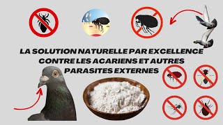 La solution naturelle par excellence contre les acariens et autres parasites externes [upl. by Demp]