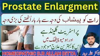 Prostate Enlargment رات کو پیشاب کیوجہ سے اٹھنا Homeopathic Treatment In Urdu Dr Allah Ditta [upl. by Hcone]