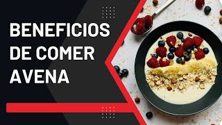 Beneficios de comer AVENA [upl. by Heiner837]