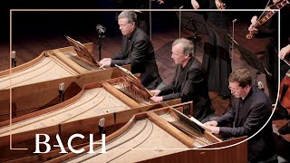 Bach  Concerto for three harpsichords in D minor BWV 1063  Mortensen  Netherlands Bach Society [upl. by Lareena362]