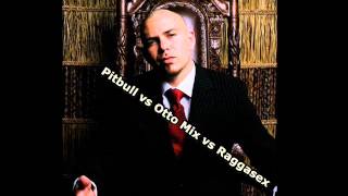 Pitbull vs Raggasex vs otto mix Ciprian D Remix [upl. by Nave]