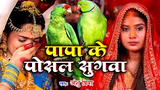 बेटी विवाह गीत  पापा के पोसल सुगवा  Anshu Priya Shadi Vivah Geet  Anshu Priya Beti Vivah Geet [upl. by Kooima]