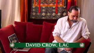 How to Use Essential Oils To Support Respiratory Health  With David Crow LAc [upl. by Nemzaj]