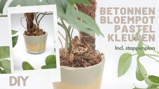 DIY  BLOEMPOT VAN BETON  ZELF MAKEN  HANDLEIDING [upl. by Seibold129]