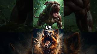 Pitbull VS Strongest Dogs [upl. by Bashee]