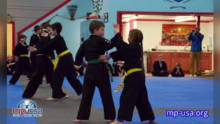 MP USA Family Martial Arts  Testimonials  Moniz Family [upl. by Seaddon]