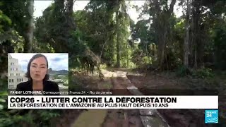 COP26  la déforestation de lAmazonie a son plus haut niveau depuis 2010 • FRANCE 24 [upl. by Hsilgne]