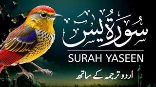 Surah Yasin yaseen  By Sheikh Abdur– Rahman As – Sudais  Full with Arabic Text HD  36سورۃ یس [upl. by Enived35]