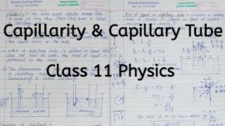 Capillarity  Capillary Tube  Chapter 9  Mechanical Properties of Fluids  Class 11 Physics [upl. by Fong602]