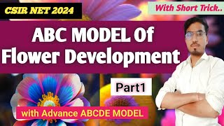 ABC MODEL OF FLOWER DEVELOPMENT CSIR NET 2024 Developmental biology CSIR NET PARTC NTA CSIR NET [upl. by Aicilihp12]