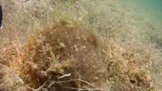 Rock Lake NM The Shallow Slope [upl. by Etnuad79]