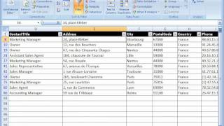 The Office Expert  Apply a Filter to a Spreadsheet in Excel [upl. by Christoper383]