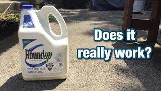 Dad Tests Roundup Weed amp Grass Killer [upl. by Ailaham]