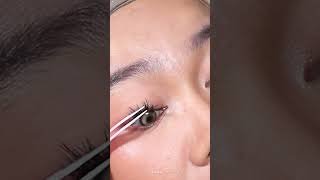 Try On Mlen Diary Star Individual Lashes fakelashes [upl. by Schuster]