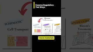 Enzyme Regulation Feedback Inhibition vs Gene Regulation [upl. by Swarts]