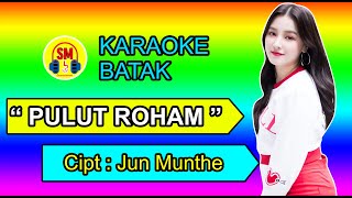 KARAOKE BATAK  Pulut roham  Jun Munthe [upl. by Kato]