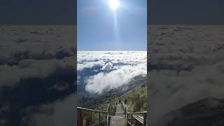 Pico da Caledonia  Nova Friburgo brazil nature natureza friburgo sol nascerdosol [upl. by Sualokin4]