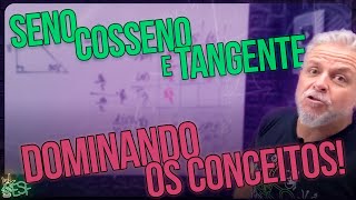 Relações Trigonométricas Seno Cosseno e Tangente de Forma Simples  Matemática com Prof Heraldo [upl. by Ardussi]