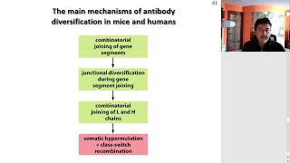 Immunogenetics [upl. by Ahsets]