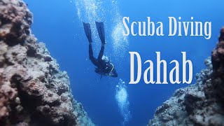 Scuba Diving  Dahab 2024 [upl. by Burkley]