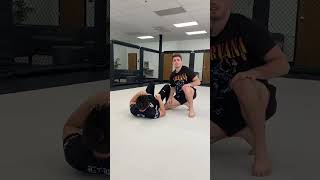 Andrew Tackett Cartwheel Gator Roll Pass bjj capoiera [upl. by Marylynne]