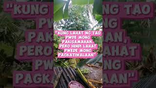 HUGOTIRANG PALAKA everyoneactivefollowers highlightseveryone highlights [upl. by Lisha851]