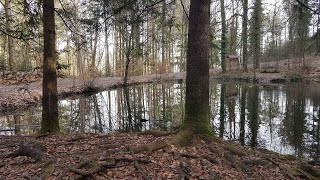 Der RÖMERSEE im schwäbischen WALD  Baden Württemberg  Wanderroute vom Aussichtsturm zum Felsenmeer [upl. by Neural152]