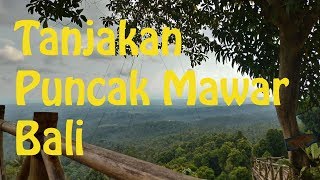 Puncak Mawar Bali roadtrip [upl. by Nannette]