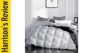 Best Goose Down Comforter 2023  Top 5 [upl. by Eimat597]