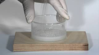 The Endothermic Reaction between Barium Hydroxide and Ammonium Thiocyanate [upl. by Shannan]