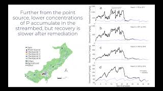 Evaluating the Longevity of InStream P Legacies Recovery Following Point Source Remediation [upl. by Ellener]