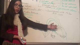 Sindrome de Eisenmenger Complicaciones Cardiopatias Congenitas Explicación Extensa [upl. by Nnylf887]