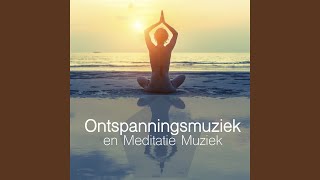 Spa Massage Muziek [upl. by Joacimah]