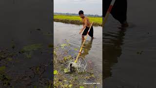 Amazing Teta Fishing bill water 🙁fishing tetafishing bestfishing [upl. by Imoin]