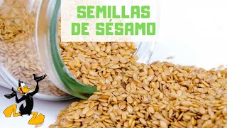 10 Propiedades del Sésamo o Ajonjolí 🤔 ¡BENEFICIOS [upl. by Ellimaj]