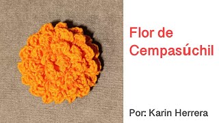 Flor de Cempasúchil [upl. by Akeihsat]