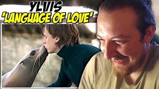 Ylvis  Language of Love  REACTION [upl. by Layne]