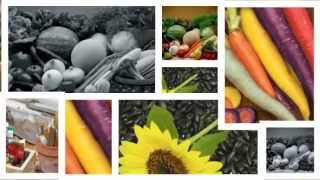 A Profitable Vegetable and Flower Seed Company for Sale [upl. by Anyah]