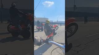 110 Pit bike Wheelies stuntfoos minibikelife pitbike wheelie wheelielife smallbore wheelies [upl. by Ahsikym]