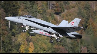 AXALP Hornets in Meiringen Switzerland [upl. by Eeraj]